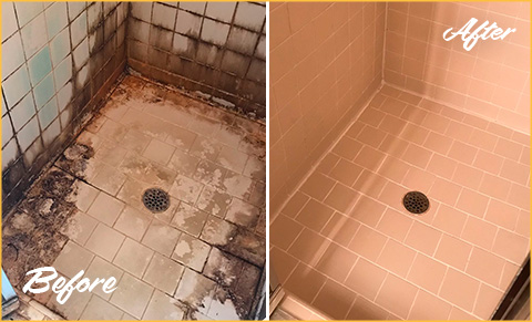 https://www.sirgroutraleigh.com/images/p/g/1/tile-grout-cleaners-water-damage-shower-480.jpg